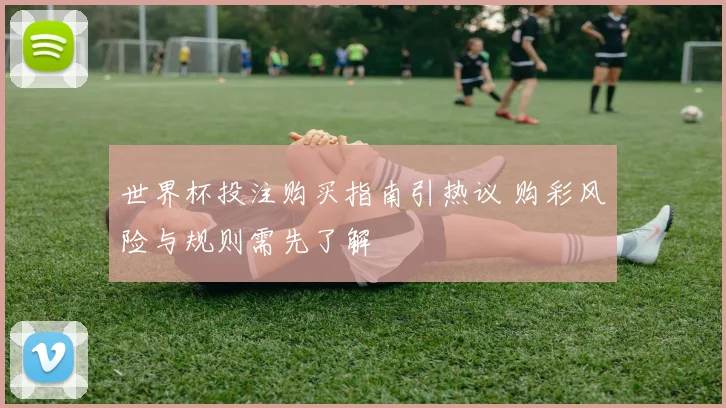 世界杯投注购买指南引热议 购彩风险与规则需先了解
