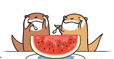 娱乐吃瓜号会不会侵权呢